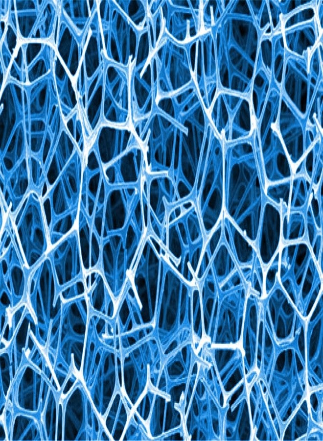 Seachem Algae Pad (18 Pack), 15mm (67103202),White - Image 2